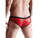 Lenjerie Barbati Briefs